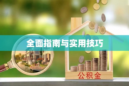 东山全面指南与实用技巧