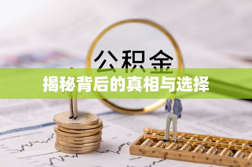 东山揭秘背后的真相与选择