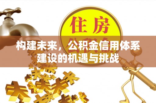 东山构建未来，公积金信用体系建设的机遇与挑战