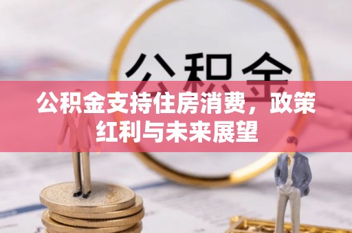 东山公积金支持住房消费，政策红利与未来展望