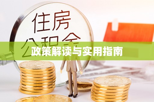 东山政策解读与实用指南