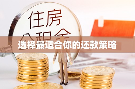 东山选择最适合你的还款策略