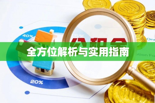 东山全方位解析与实用指南