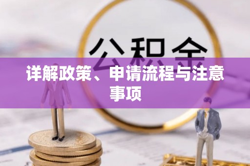东山详解政策、申请流程与注意事项