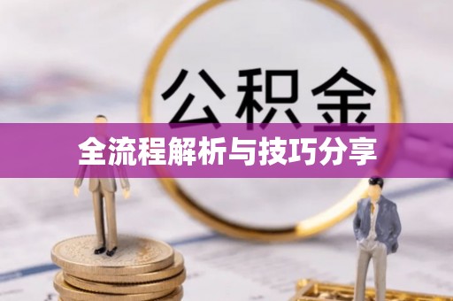 东山全流程解析与技巧分享
