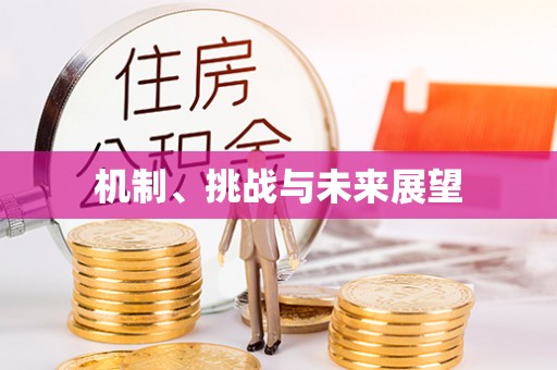 东山机制、挑战与未来展望